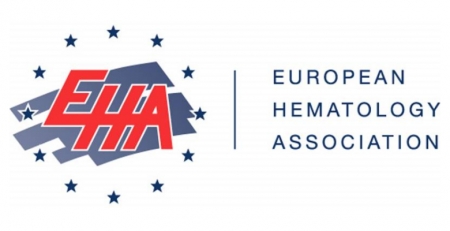 Candidaturas para as bolsas de investigação EHA Topics-in-Focus