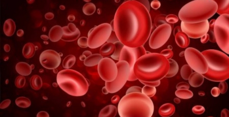 Dadores de plasma sanguíneo convalescente podem tratar doentes com COVID-19