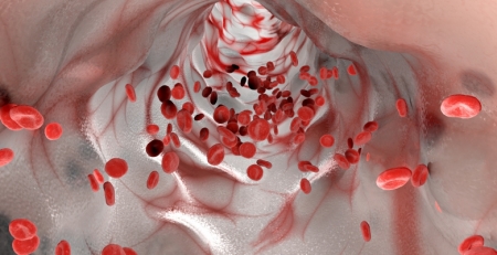 Prémio Nacional de Hematologia 2018 vai distinguir investigação científica em Portugal