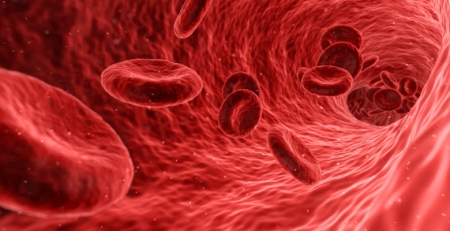 Easy Blood Crossmatch: tecnologia permite testes de compatibilidade sanguínea mais económicos