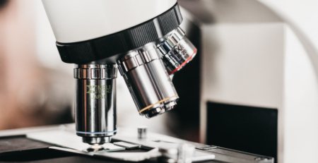 Amostra de sangue é capaz de diagnosticar e monitorizar o mieloma múltiplo, indica estudo