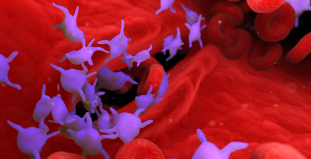 Novo estudo revela eficácia no tratamento de crianças com púrpura trombocitopénica imune recém-diagnosticada