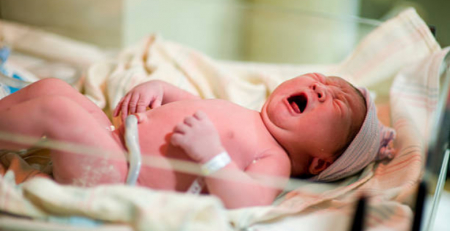Estudo aponta sangue do cordão umbilical como fonte de células estaminais para o tratamento de doentes pediátricos com leucemia