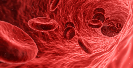 EHA organiza a sétima edição da European CAR T-cell Meeting: prazo de submissão de abstracts termina este mês
