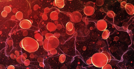 Estudo revela como competição celular no timo previne leucemia