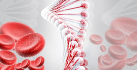 Iptacopan resulta num aumento dos níveis de hemácias em doentes com hemoglobinúria paroxística noturna