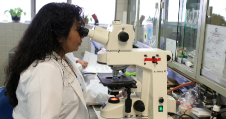 Já estão abertas as inscrições para Prémio Nacional de Hematologia 2021